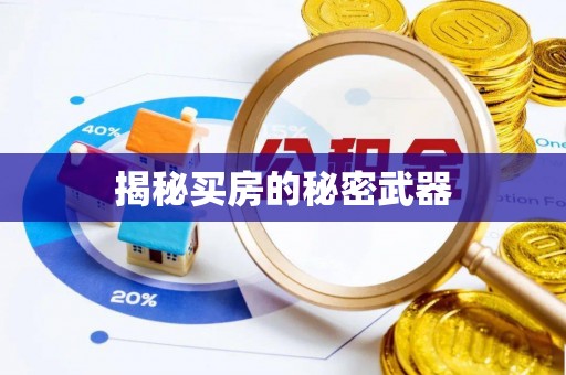平川揭秘买房的秘密武器
