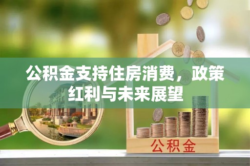 平川公积金支持住房消费，政策红利与未来展望