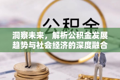 平川洞察未来，解析公积金发展趋势与社会经济的深度融合