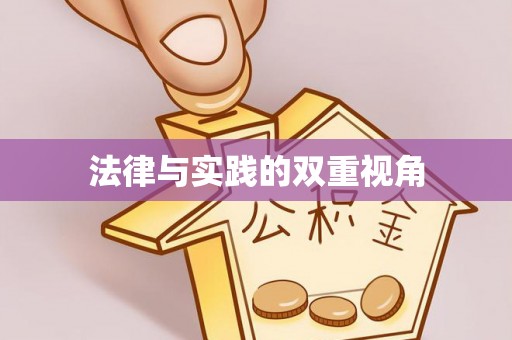 平川法律与实践的双重视角
