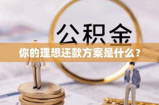 平川你的理想还款方案是什么？